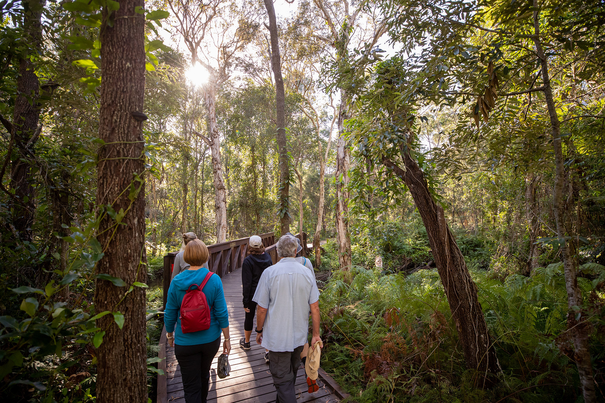 Bushland - group walking older